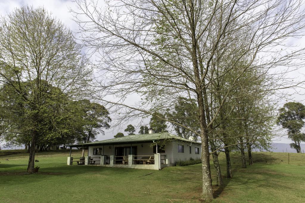 Beverley Country Cottages Dargle Dış mekan fotoğraf